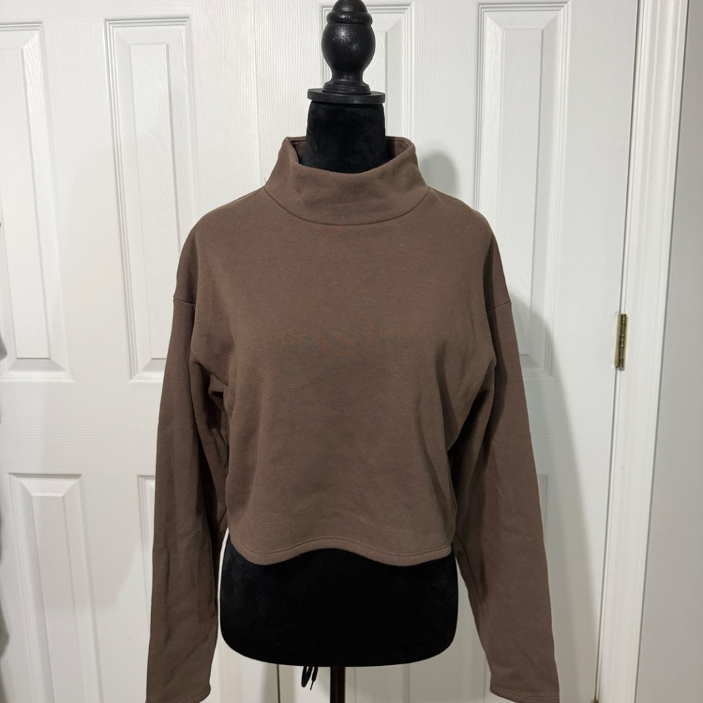 Express Brown turtle neck sweater
